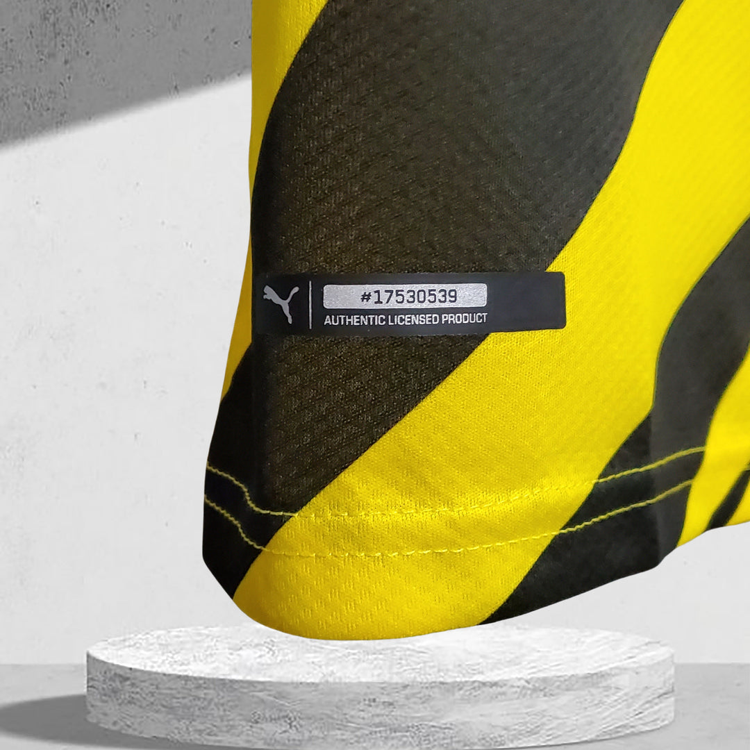 Borussia Dortmund 2020–2021 Heimtrikot