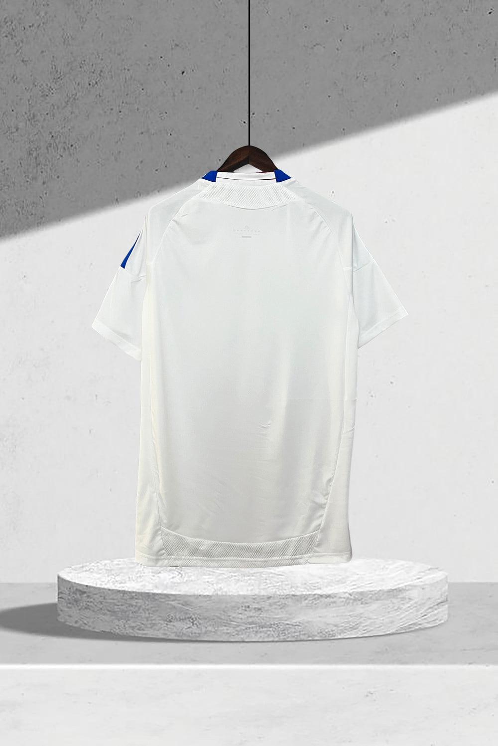 Olympique Lyonnais 2010–2011 Heimtrikot